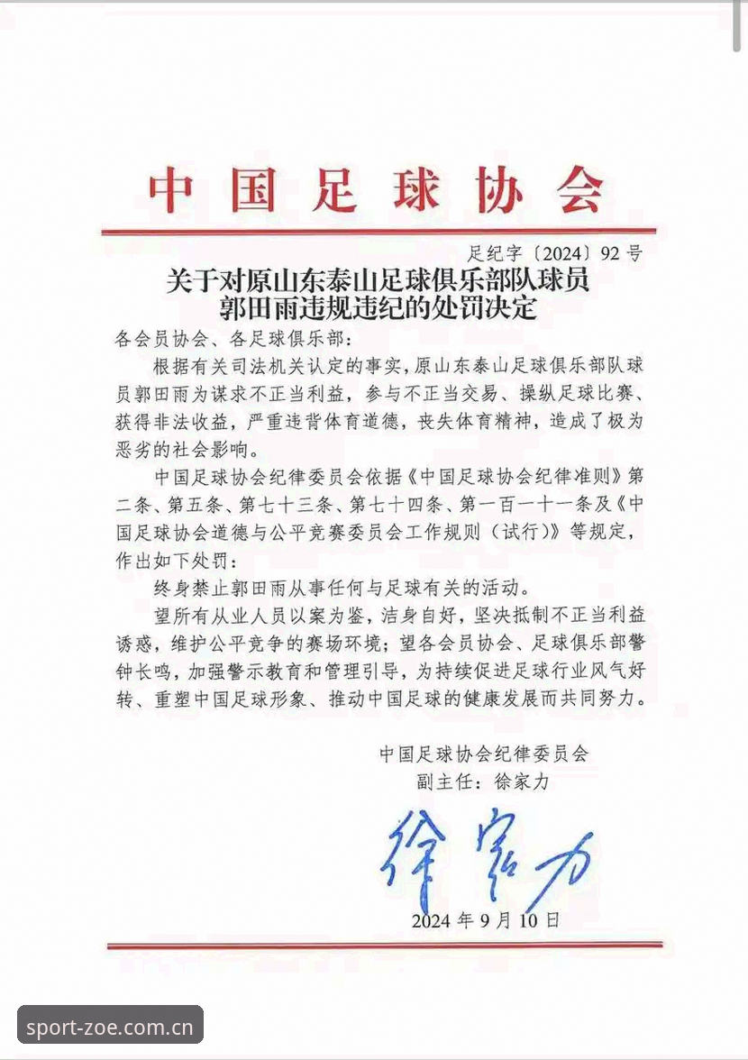足协重磅罚单再掀反腐风暴，如何看懂这次中国足球的“大清洗”？